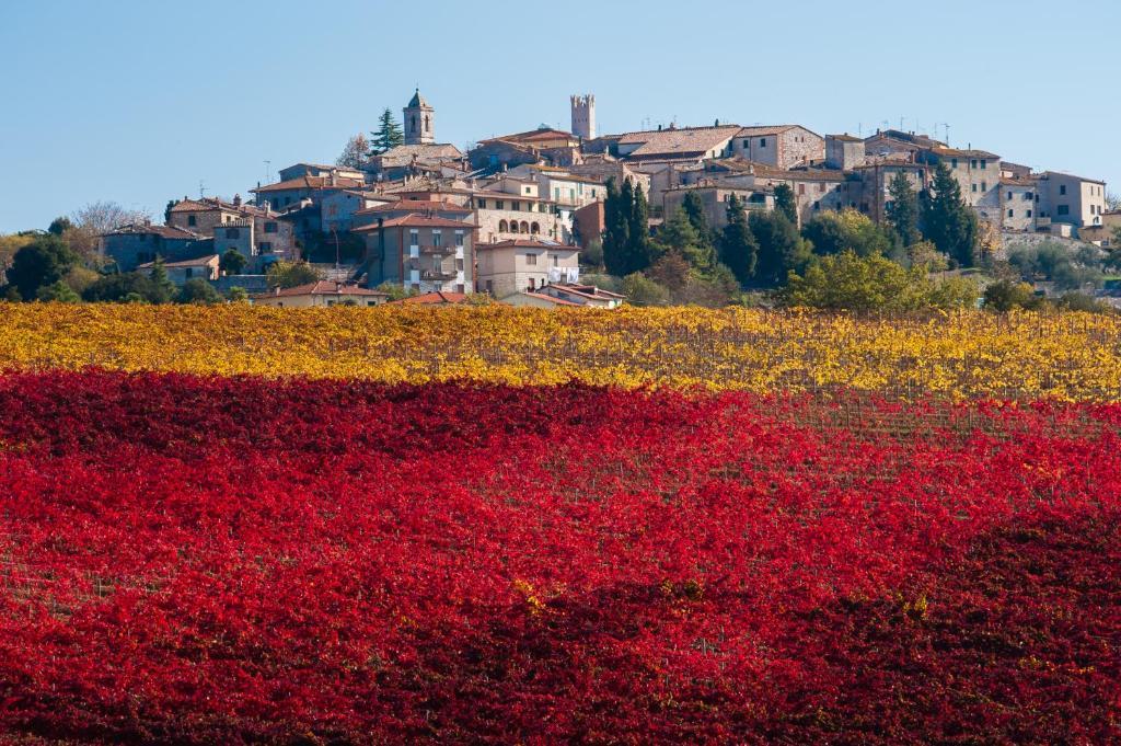 Hotel La Piccola Stazione Torrita di Siena Eksteriør bilde